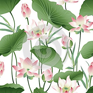Vector botanical seamless pattern with pink lotus flowers.
