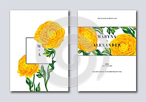 Vector botanical template with realistic yellow buttercup
