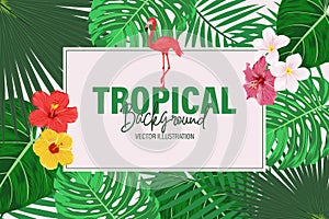 Vector Botanical Tropical Jungle Banner, Background with Palm Leaves, Exotic Flowers, Plants, Flamingo. Summer Beach