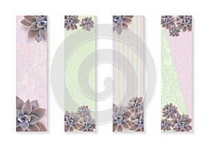 Vector botanical vertical banners set with flowers Graptopetalum. Poster Design for cosmetics, spa, health care products. photo