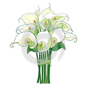 Vector bouquet with Calla lily flower or Zantedeschia with green leaves in pastel color isolated on white background.