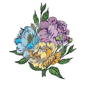Vector bouquet composition peony flowers, blue, yellow flowers and leaves