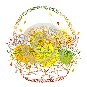 Vector bouquet of Dahlia or Dalia flower and ornate leaf in wicker basket in pastel orange and yellow isolated on white.