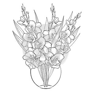 Vector bouquet with Gladiolus or sword lily in vase. Flower bud and leaf in black isolated on white background. Floral elements.