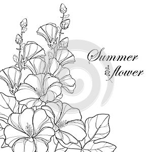 Vector bouquet with outline Alcea rosea or Hollyhock flower photo