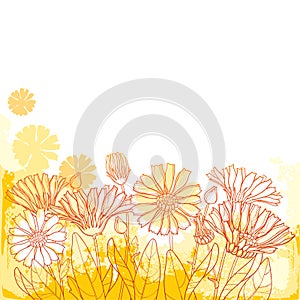 Vector bouquet with outline Calendula officinalis or pot marigold, bud, leaf and orange flower on the pastel textured background.