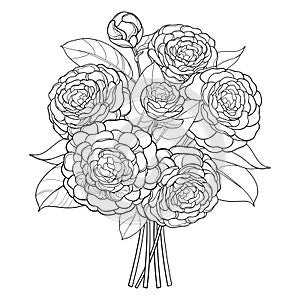 Vector bouquet with outline Camellia flower bunch, bud and leaf in black isolated on white background. Ornate Camellia plant.