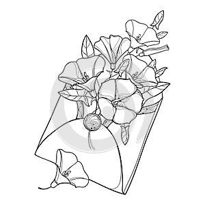 Vector bouquet with outline Convolvulus or Bindweed, ornate leaf and bud in open craft envelope in black isolated on white. photo