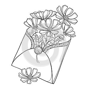 Vector bouquet with outline Cosmos or Cosmea flower bunch, ornate leaf and bud in open craft envelope isolated on white. photo