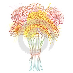 Vector bouquet of outline Dahlia or Dalia flower in pastel yellow and orange isolated on white background. Bunch of contour Dahlia photo