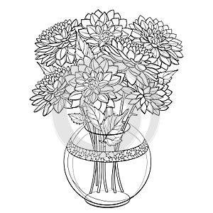 Vector bouquet of outline Dahlia or Dalia flower in round vase in black isolated on white background. Bunch of contour Dahlia.