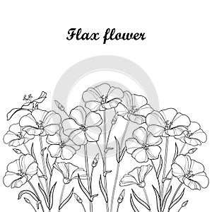 Vector bouquet with outline Flax plant or Linseed or Linum. Flower bunch, bud and leaf in black isolated on white background. photo