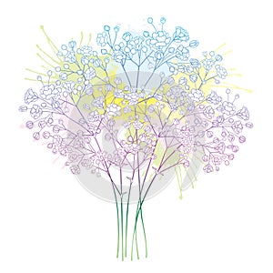 Vector bouquet of outline Gypsophila or Baby`s breath flower bunch and bud in pastel pink and blue isolated on white background.