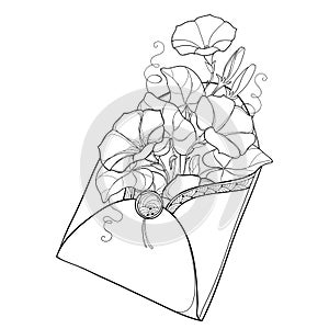 Vector bouquet with outline Ipomoea or Morning glory flower and leaf in open craft envelope in black isolated on white background. photo