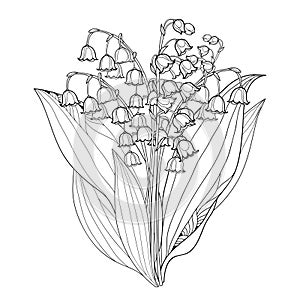 Vector bouquet with outline Lily of the valley or Convallaria flowers and leaves isolated. Floral element for spring design.i