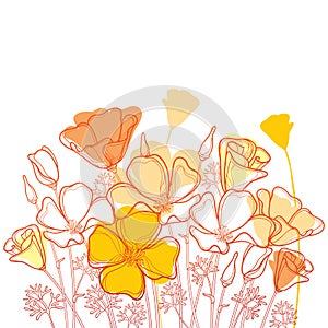 Vector bouquet with outline orange California poppy flower or California sunlight or Eschscholzia, leaf and bud isolated on white. photo