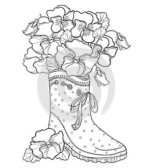 Vector bouquet with outline Pansy or Heartsease flower, ornate leaves and bud in black in the rubber boot isolated on white.