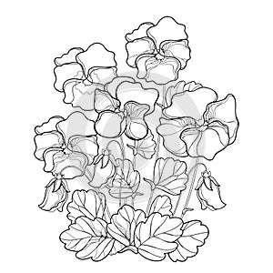 Vector bouquet with outline Pansy or Heartsease or Viola tricolor flower and leaf in black isolated on white background.
