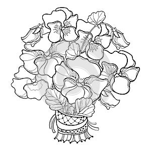 Vector bouquet with outline Pansy or Heartsease or Viola tricolor flower and ornate leaf in black isolated on white background.