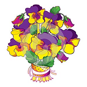 Vector bouquet with outline Pansy or Heartsease or Viola tricolor flower in yellow and purple and ornate green leaf isolated.