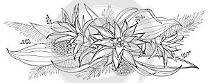 Vector bouquet of outline tropical Guzmania flower bunch and palm leaf in black isolated on white background.