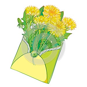 Vector bouquet with outline yellow Dandelion flower, bud and green leaves in open craft envelope isolated on white background.