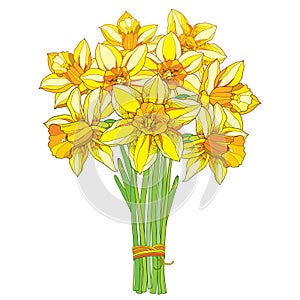 Vector bouquet with outline yellow narcissus or daffodil flowers isolated on white. Ornate floral element for spring design.