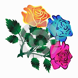 Vector bouquet of pink, orange and blue roses. Colorful beautiful flowers. Bouquet of flowers for congratulations on Valentine`s D