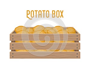 Vector box with potato, grocery basket with garden products