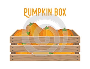 Vector box with pumpkins, grocery basket with garden products