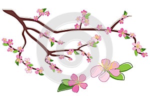 vector branch of peach with rosy flowers