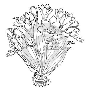 Vector bride bouquet with outline Freesia flower, bud and ornate leaf in black isolated on white background. Summer blossom.