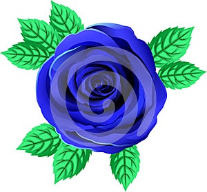 Vector Bright Blue Rose Flower. Rose Clipart With Petals And Leaf.
