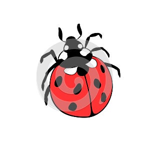 Vector bright red ladybug in flat style. Cute insect, isolated. Top view. Clipart, design element on theme of nature