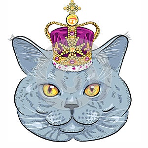 Vector British cat in gold crown