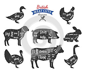 Vector British meat cuts diagrams