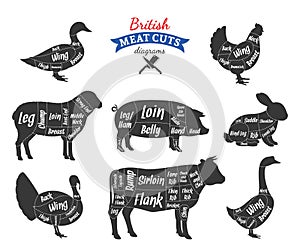 Vector British meat cuts diagrams photo
