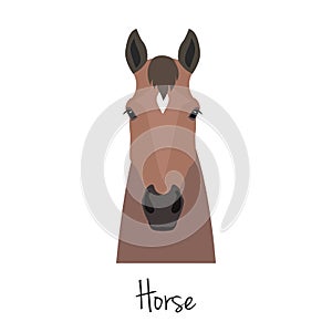 Vector brown horse head isolated. Flat, cartoon style object