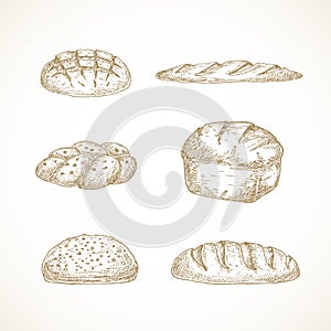 Vector Brread Sketches Set. Hand Drawn Illustrations of Challa, Sourdough Loaf, Brick and Baguette. photo