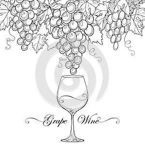 Vector bunch of grape, grape leaves and wineglass
