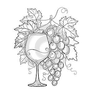 Vector bunch of grape, ornate grape leaves and wineglass in black