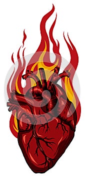 Vector Burning Heart. Illustration for design tattoo