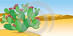 Vector bush of outline Indian fig Opuntia plant or prickly pear cactus, red fruit and green spiny stem on the desert background.