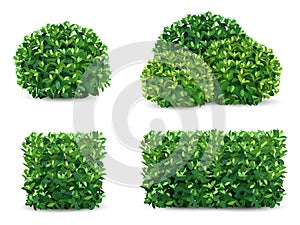 Vector bush set