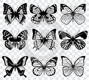 Vector butterflies on transparent checkered background