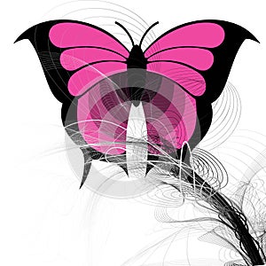 Vector butterfly