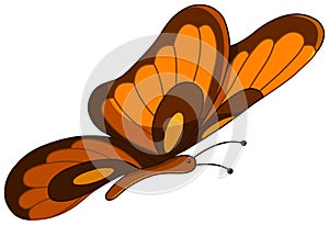 Vector butterfly