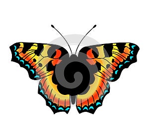 Vector butterfly.