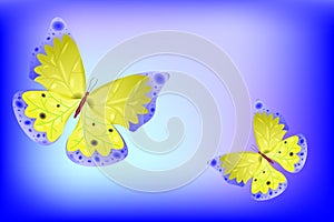Vector butterfly as abstract background