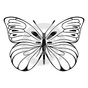 Vector Butterfly Black Silhouette Isolated on White Background. Decorative Insect Illustration